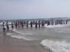 People form human chains on shore of Lake Michigan to rescue swimmers
