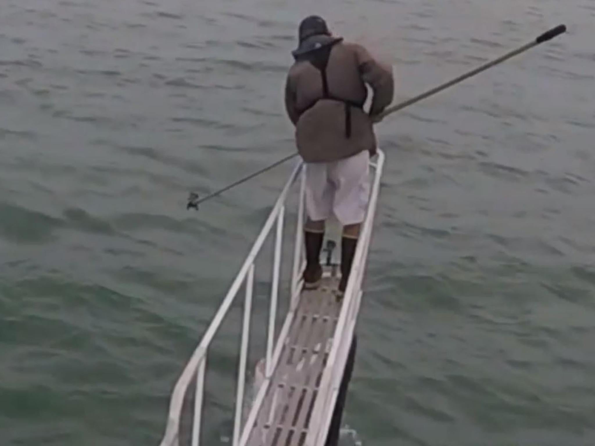 Off the coast of the United States, a shark jumped into a boat to fishermen Off the coast of the United States, a shark jumped into a boat to fishermen