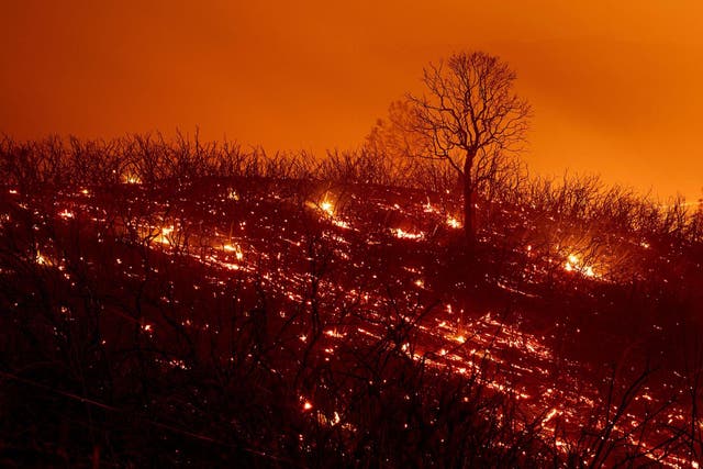 Embers smoulder along a hillside after the Ranch Fire, part of the Mendocino Complex Fire, burned though the area near Clearlake Oaks, California, on 5 August