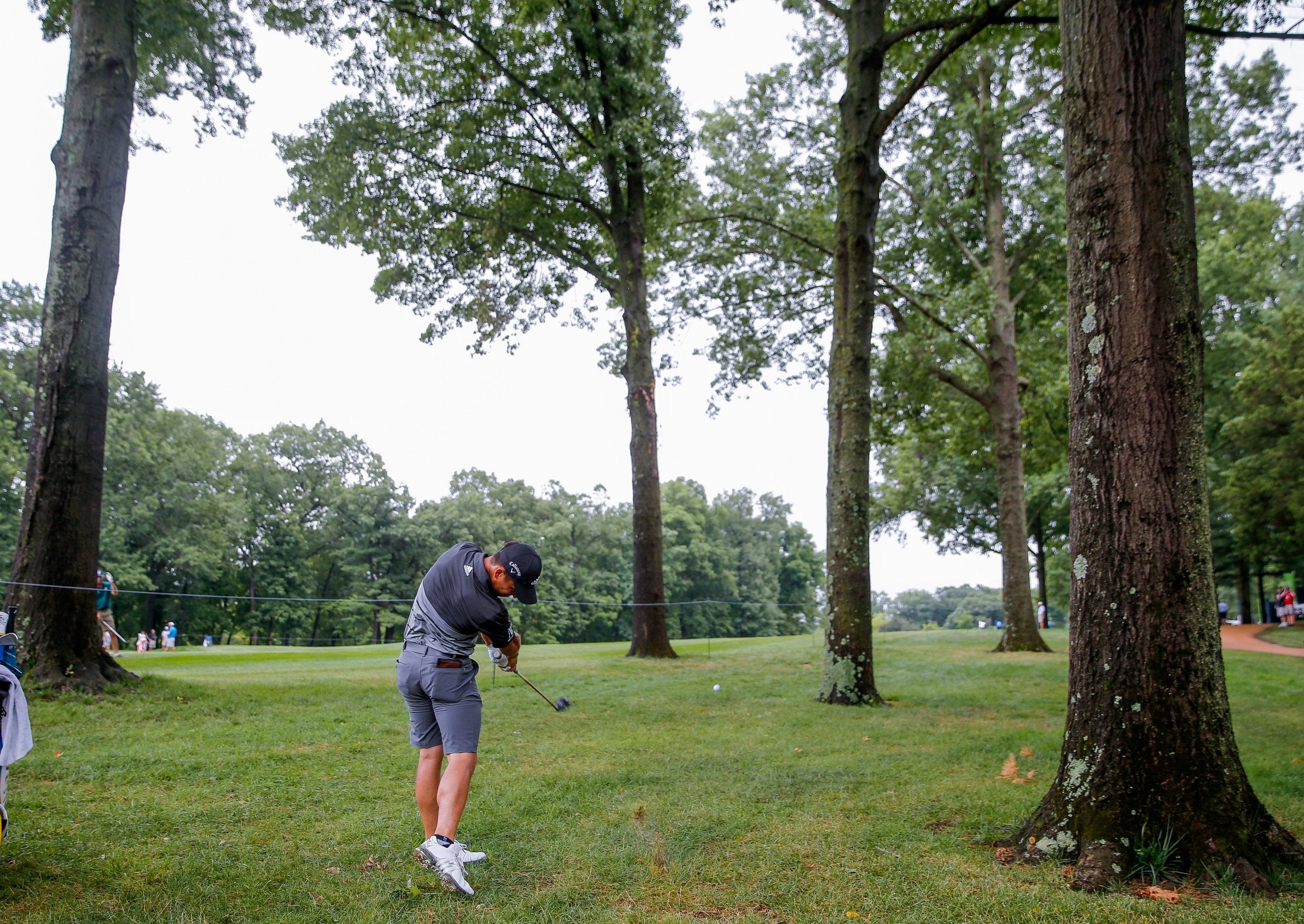 Xander Schauffele practices among the trees ahead of the PGA Championship