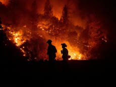 Should inmates be fighting the California wildfires?