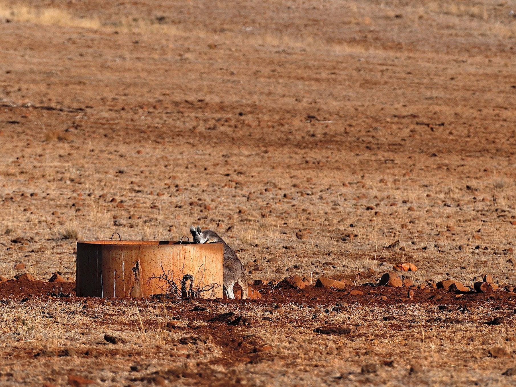 Much of Australia’s southeast is struggling with drought