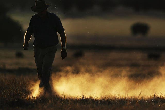 Farmer Wayne Dunford walks through a dusty field after the Barley crop that was planted in it failed October 26, 2006 in Parkes, Australia