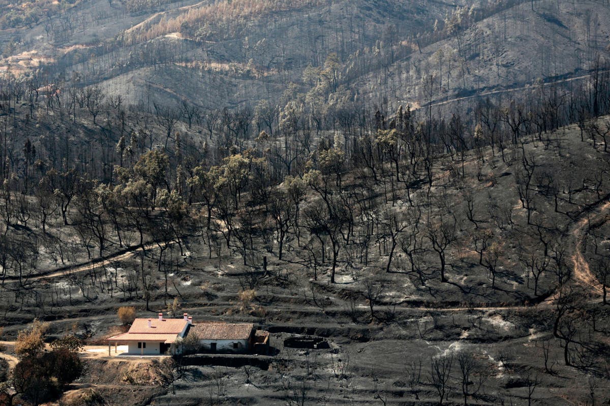 Portugal fires finally extinguished after seven days The Independent