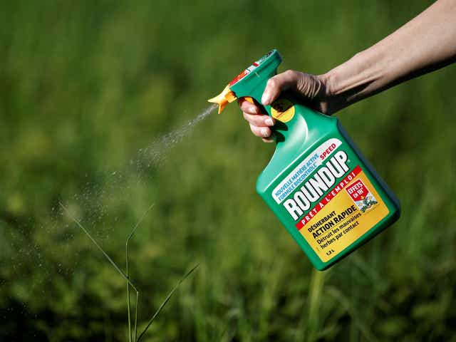 A jury found Monsanto’s Roundup weedkiller contributed to a man’s terminal cancer