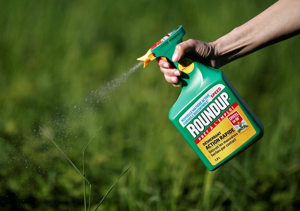 A jury found Monsantoâ€™s Roundup weedkiller contributed to a manâ€™s terminal cancer
