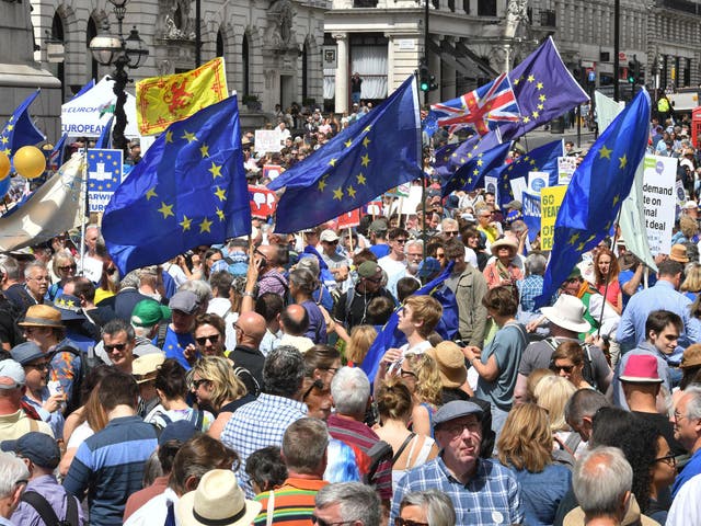 Crowds calling for a second referendum gather in central London at a demonstration earlier this summer