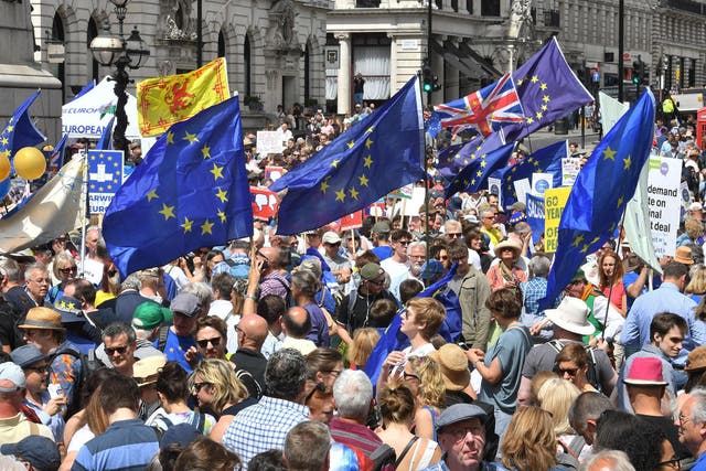 Crowds calling for a second referendum gather in central London at a demonstration earlier this summer