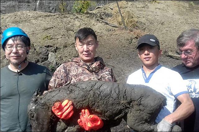 Semyon Grigoryev, second right, holds the near perfectly preserved 40,000-year-old foal