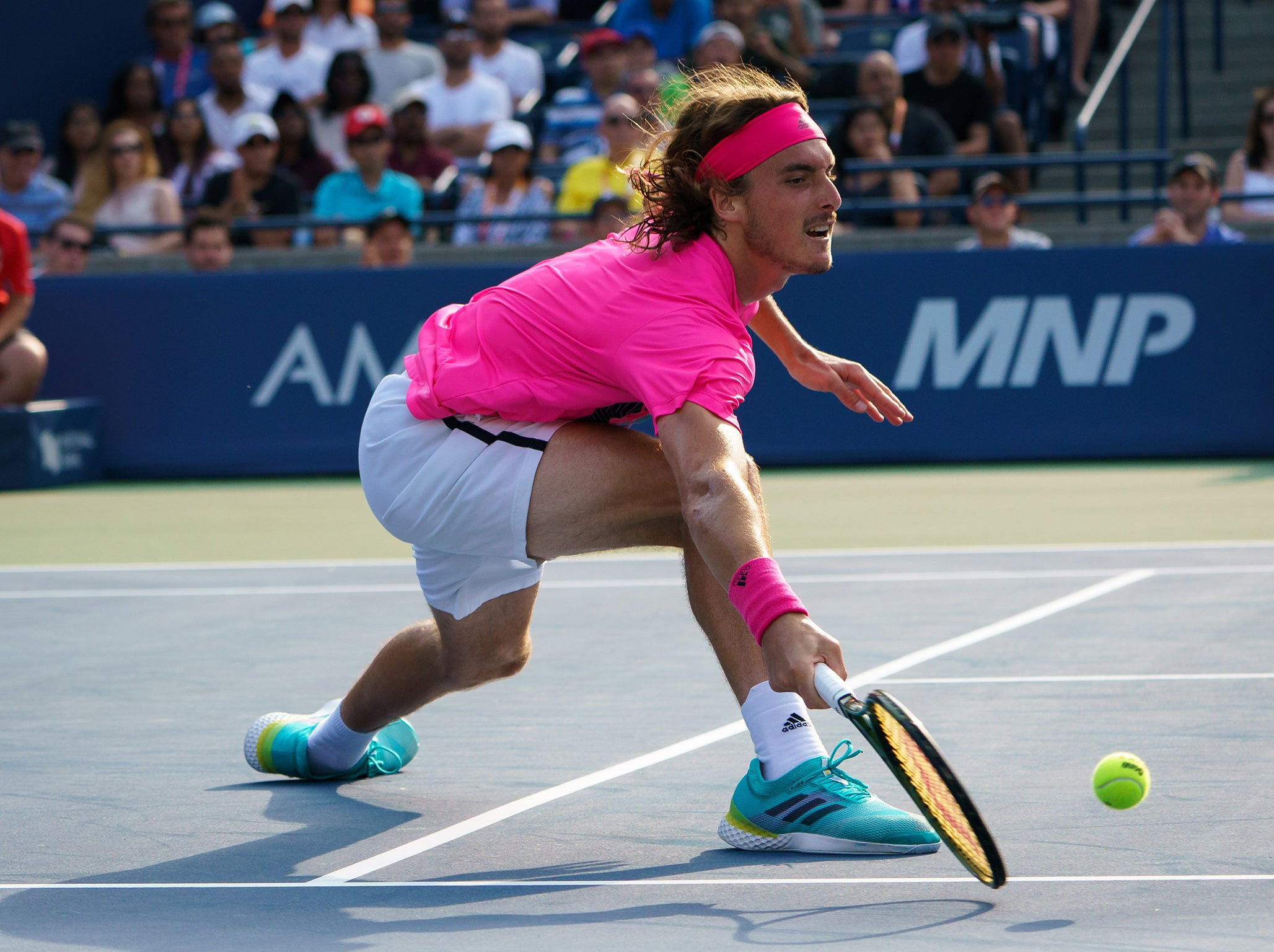 Stefanos Tsitsipas has enjoyed a week to remember