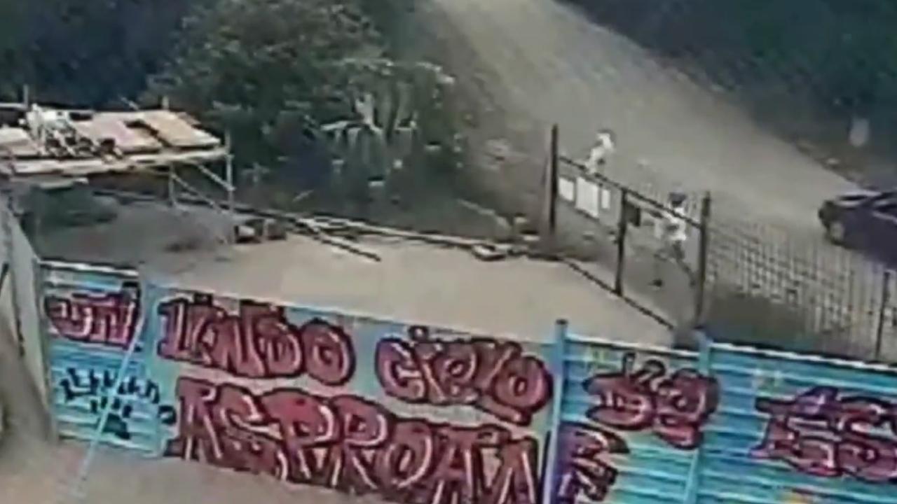 Police hunt man who threw dog onto metal fence in Spain