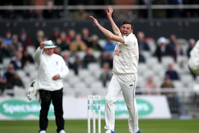 Harry Gurney owns a pub with Stuart Broad and a third friend and is currently looking to broaden his horizons within the industry