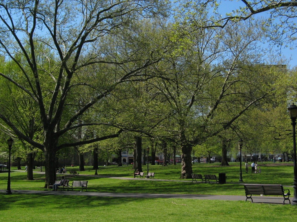 Most of the overdoses happened at New Haven Green - a Connecticut park close to Yale University