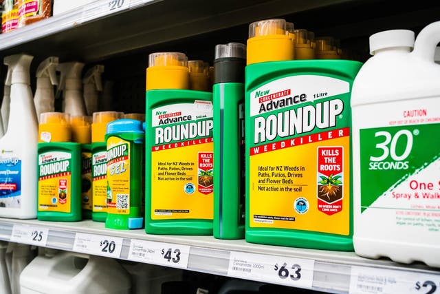 Glyphosate is the active ingredient in Roundup, the UK's most popular weedkiller