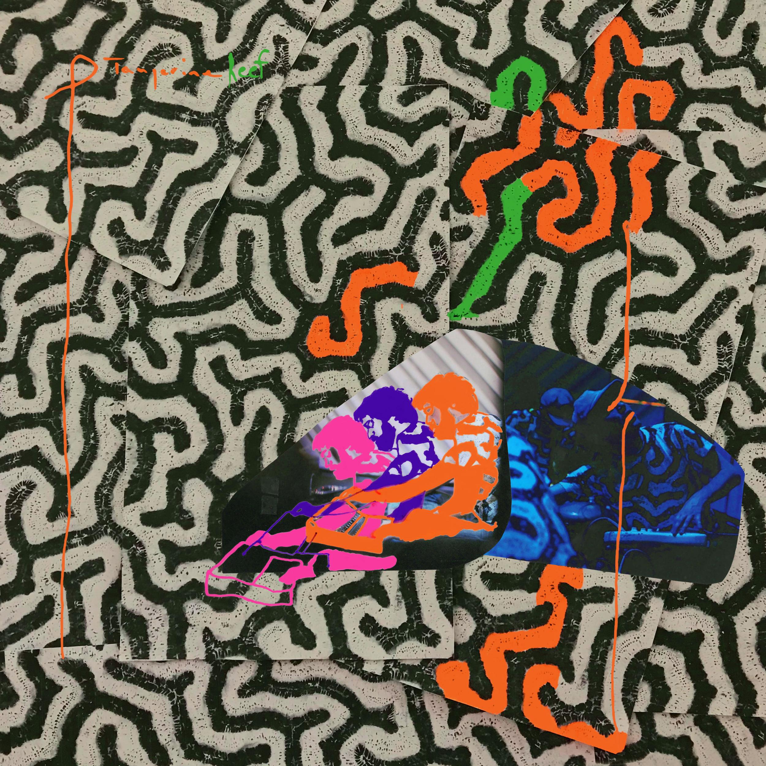 Animal Collective’s ‘Tangerine Reef’: as an environmental art project, it is laudable; as a listening experience, it is impenetrable