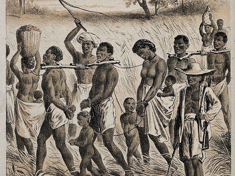 African Slave Gay Sex - Details of horrific first voyages in transatlantic slave ...