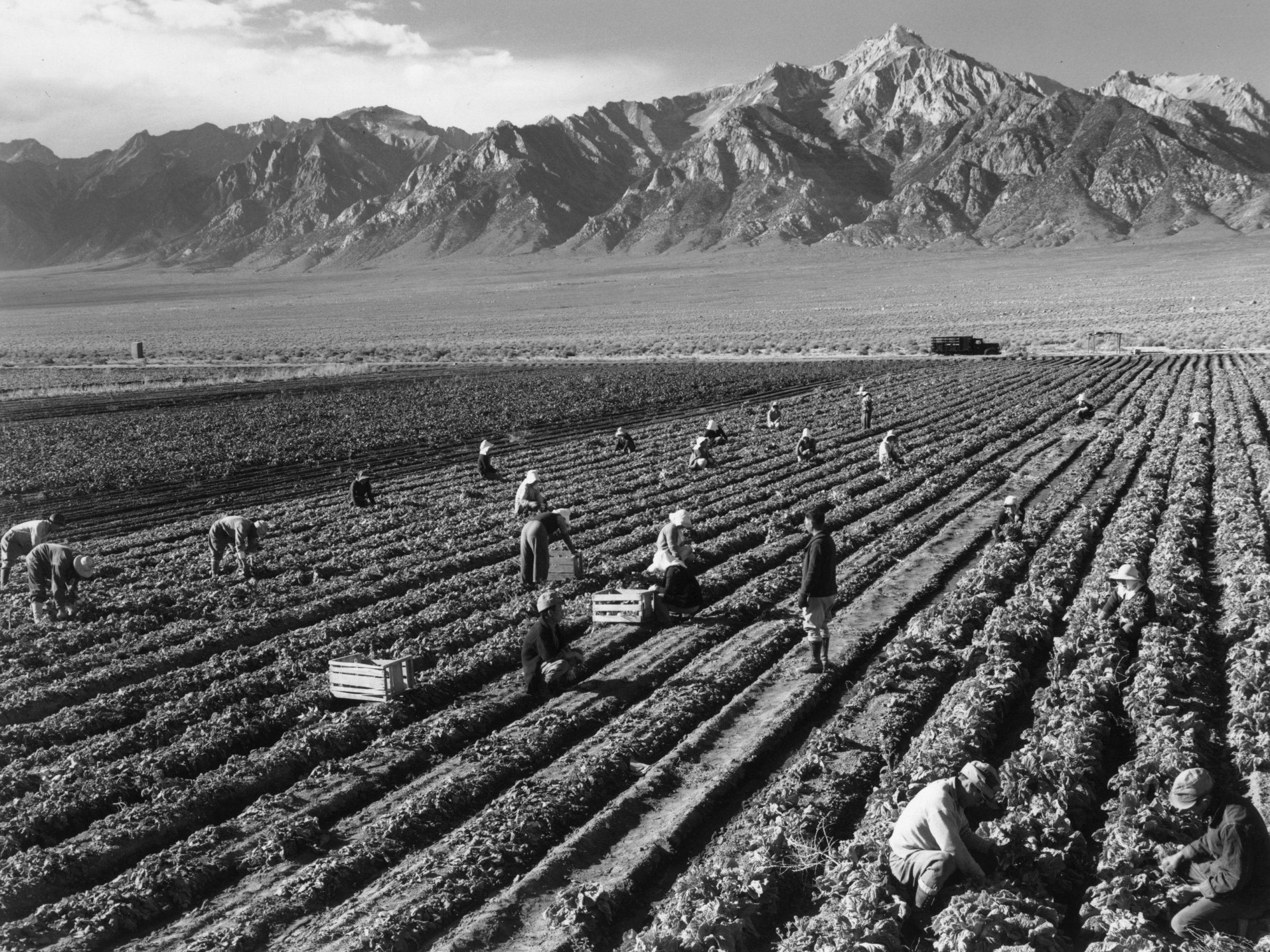 Manzanar camp held the then 17-year-old Herzig-Yoshinaga