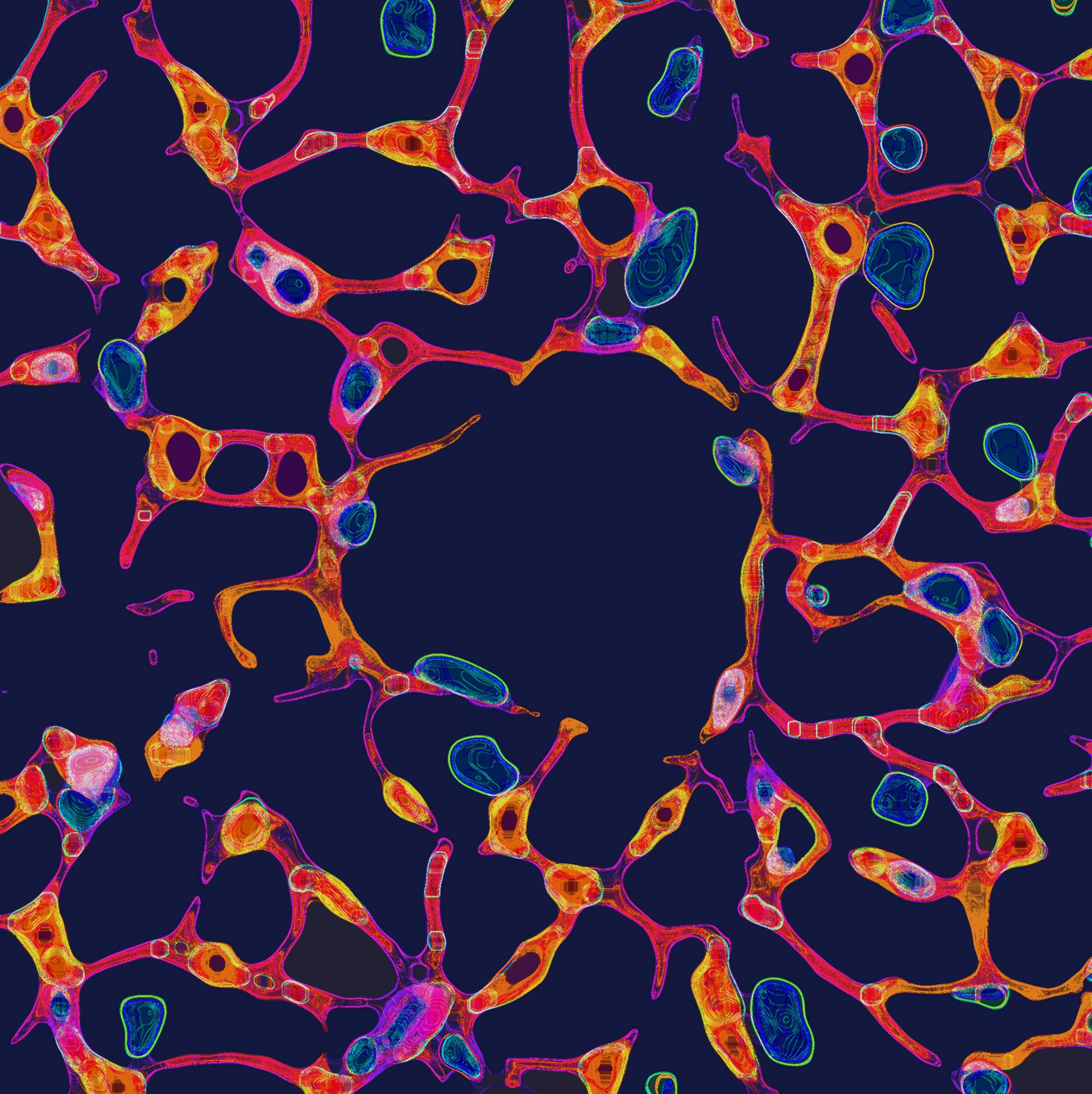 Cardiac collagen web - Shortlist