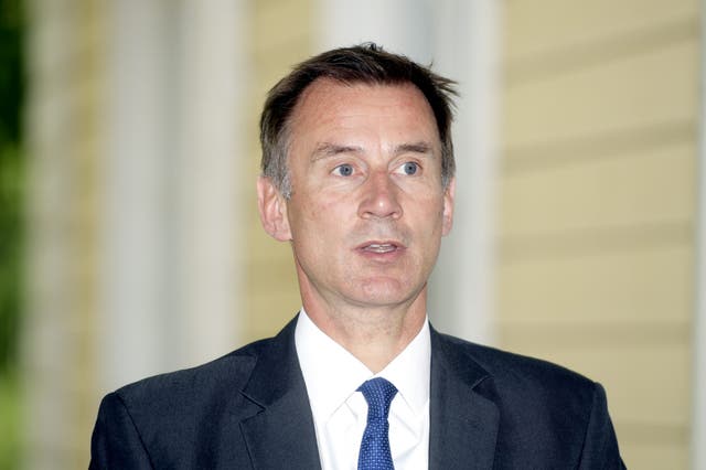 Foreign secretary Jeremy Hunt is said to be in favour of pursuing a Canada-style trade deal