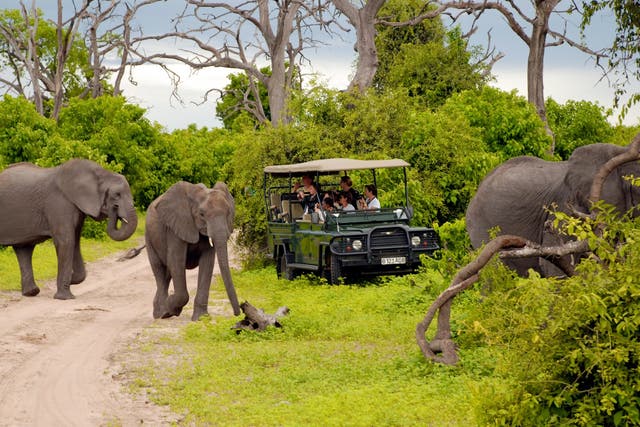 Going on safari is more of a priority for men