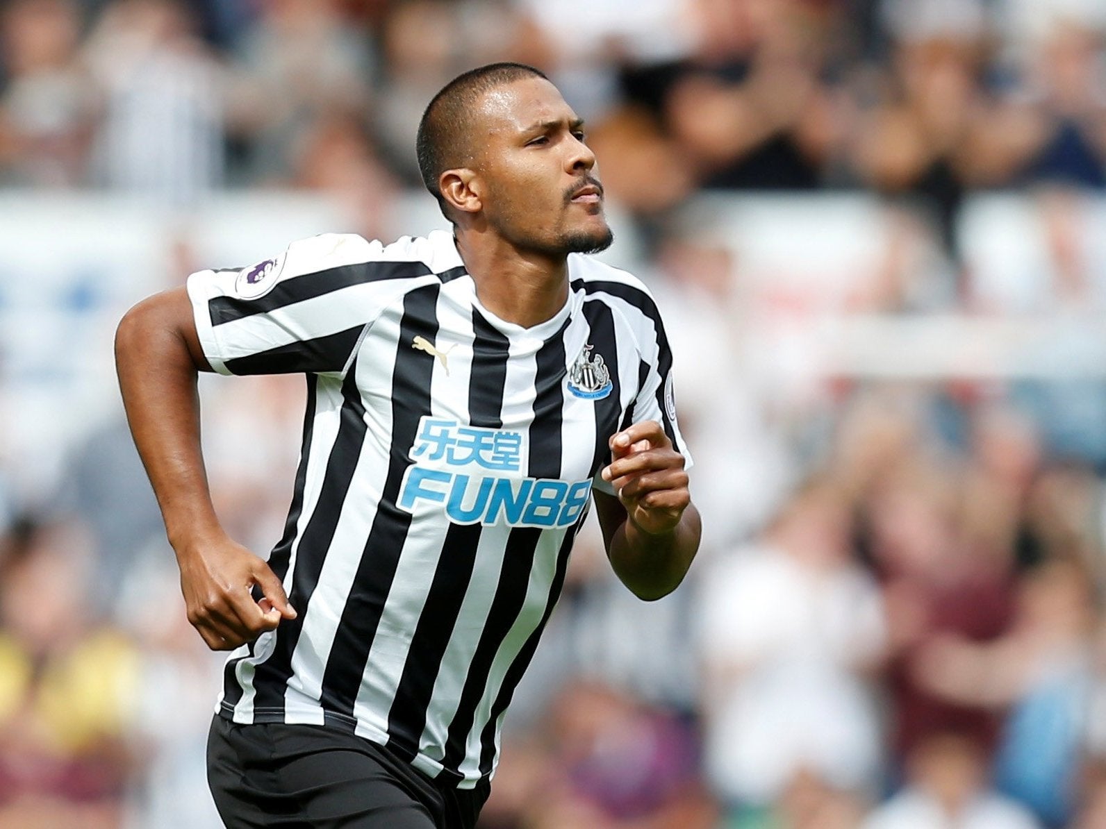 Salomon Rondon is starting afresh at Newcastle United