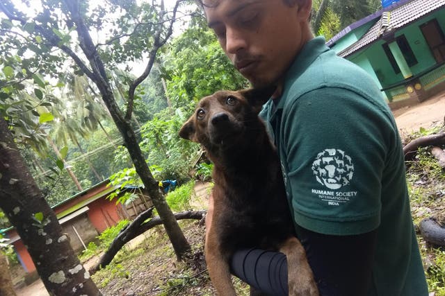 Rescue workers from Humane Society International have responded to flooding in Kerala, India.
