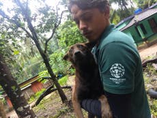 Rescue workers trying to save thousands of animals amid Kerala floods