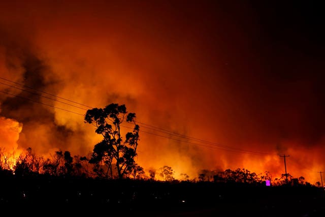 Huge bush fires in New South Wales on 19 August 2018