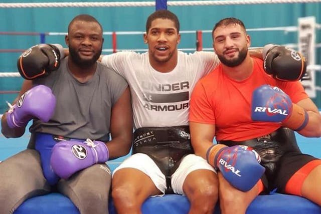 Joshua sat between his two new sparring partners