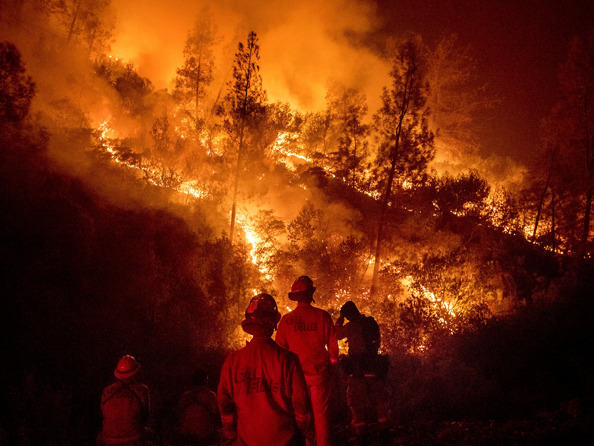 More than one million acres have been burned by wildfires in California this year
