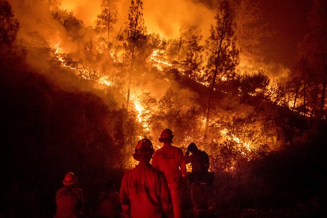More than one million acres have been burned by wildfires in California this year
