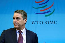 ‘Not realistic’ for UK to trade on WTO rules straight after Brexit