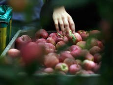 Heatwave and ‘Beast from the East’ behind ‘incredible bounty’ of fruit