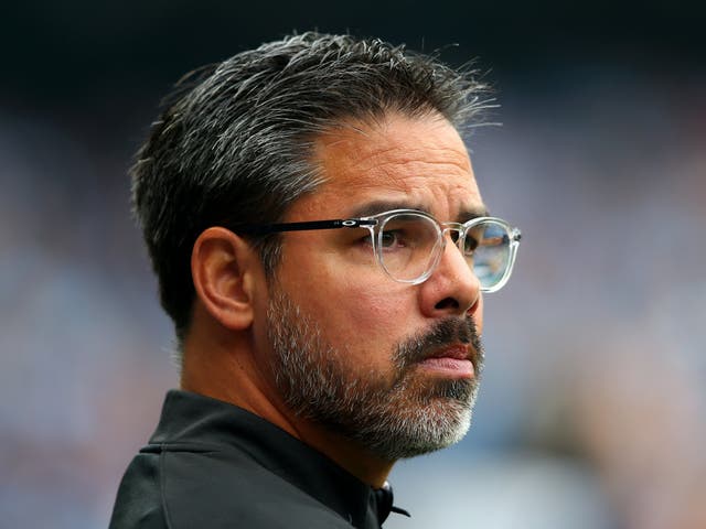 David Wagner is happy with the make-up of his squad