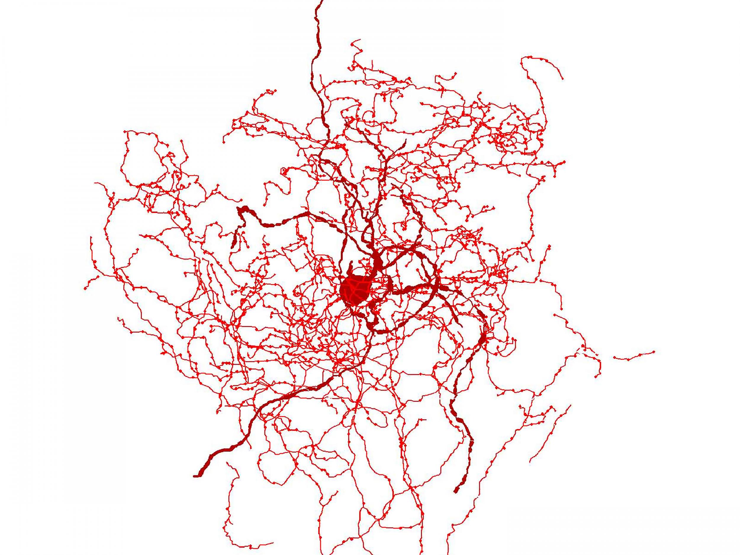 Digital reconstruction of a rosehip neuron in the human brain showing bundle of nerve fibres around central cell body