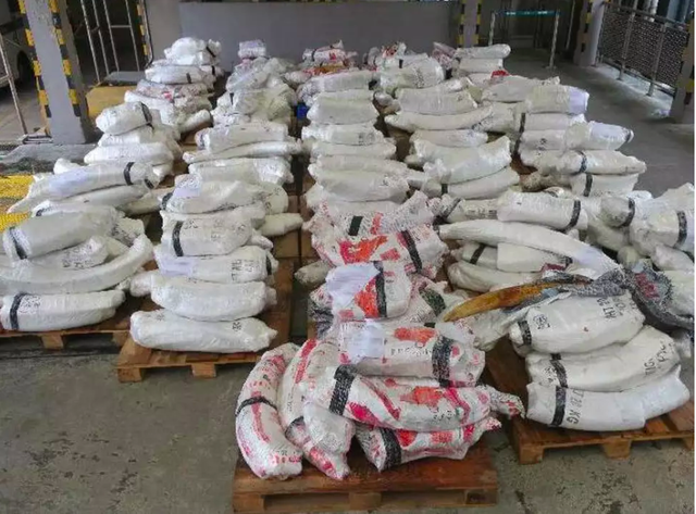 A shipment of illegal ivory confiscated by Hong Kong's port authorities on display at city docks