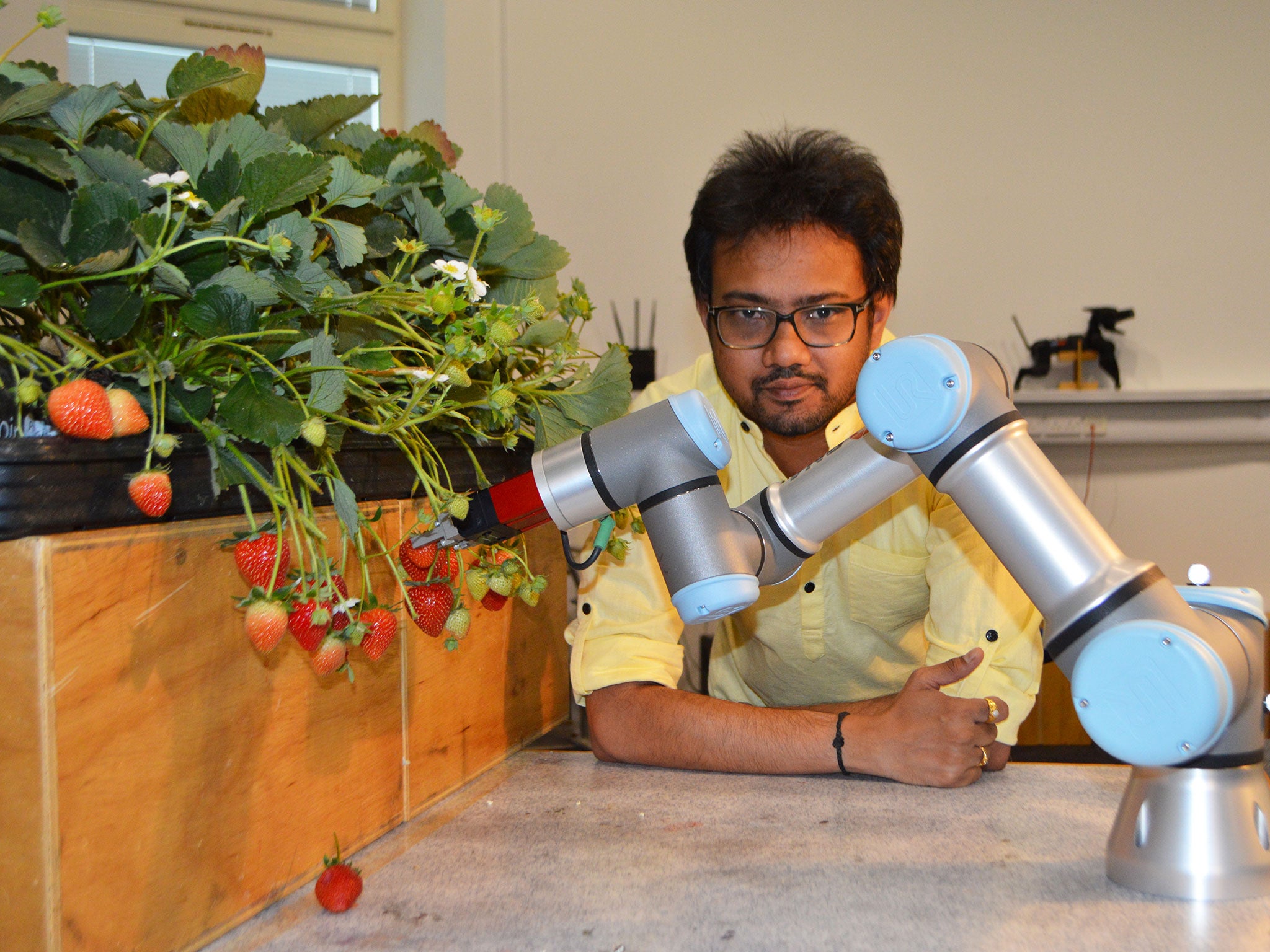 Dr Vishuu Mohan, from the University of Essex’s School of Computer Science and Electronic Engineering, is part of a major project looking at how robots can help pick fruit