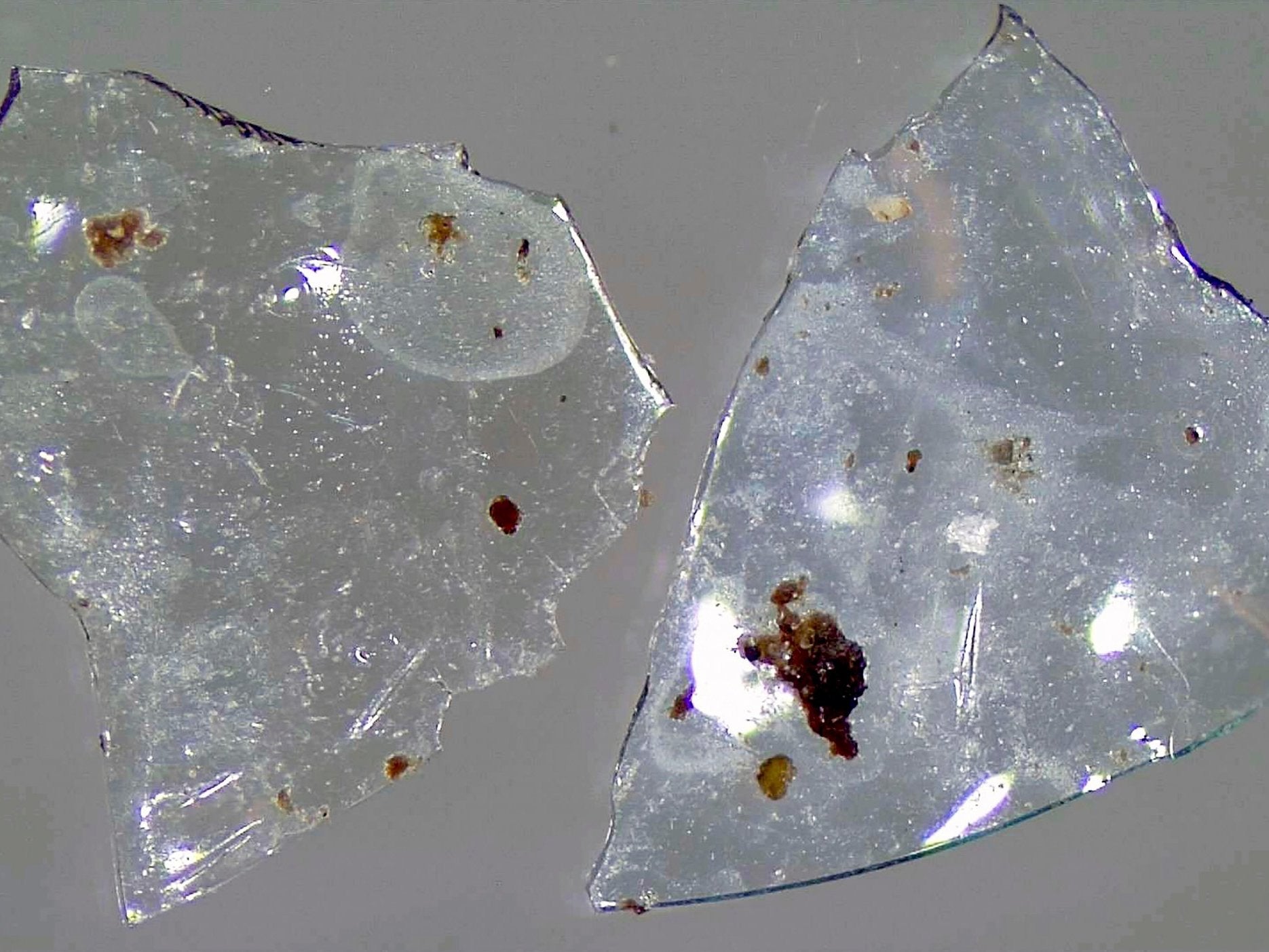 One of the lenses found in treated sewage