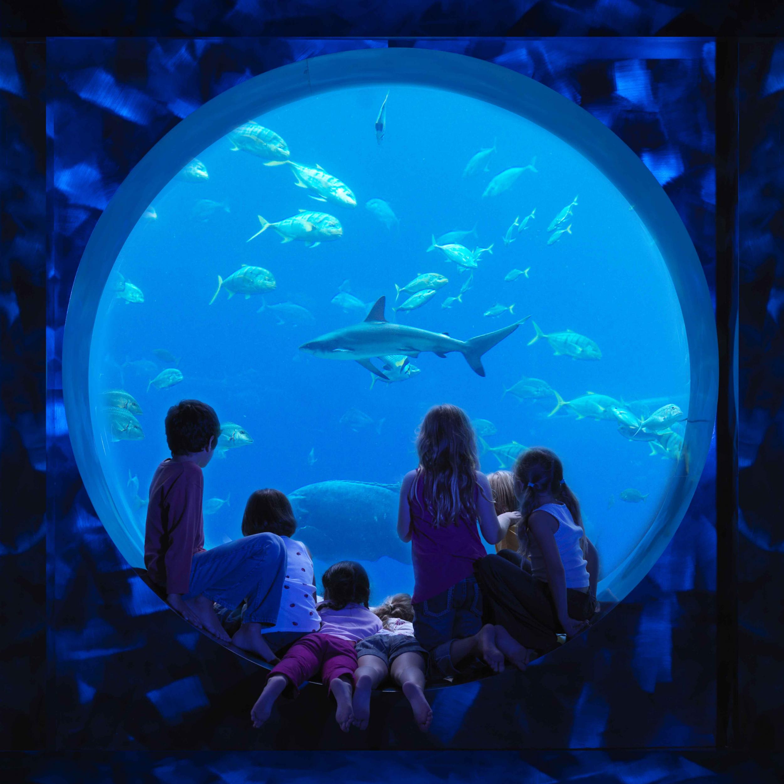 Kids will be in their element at the hotel’s giant indoor aquarium