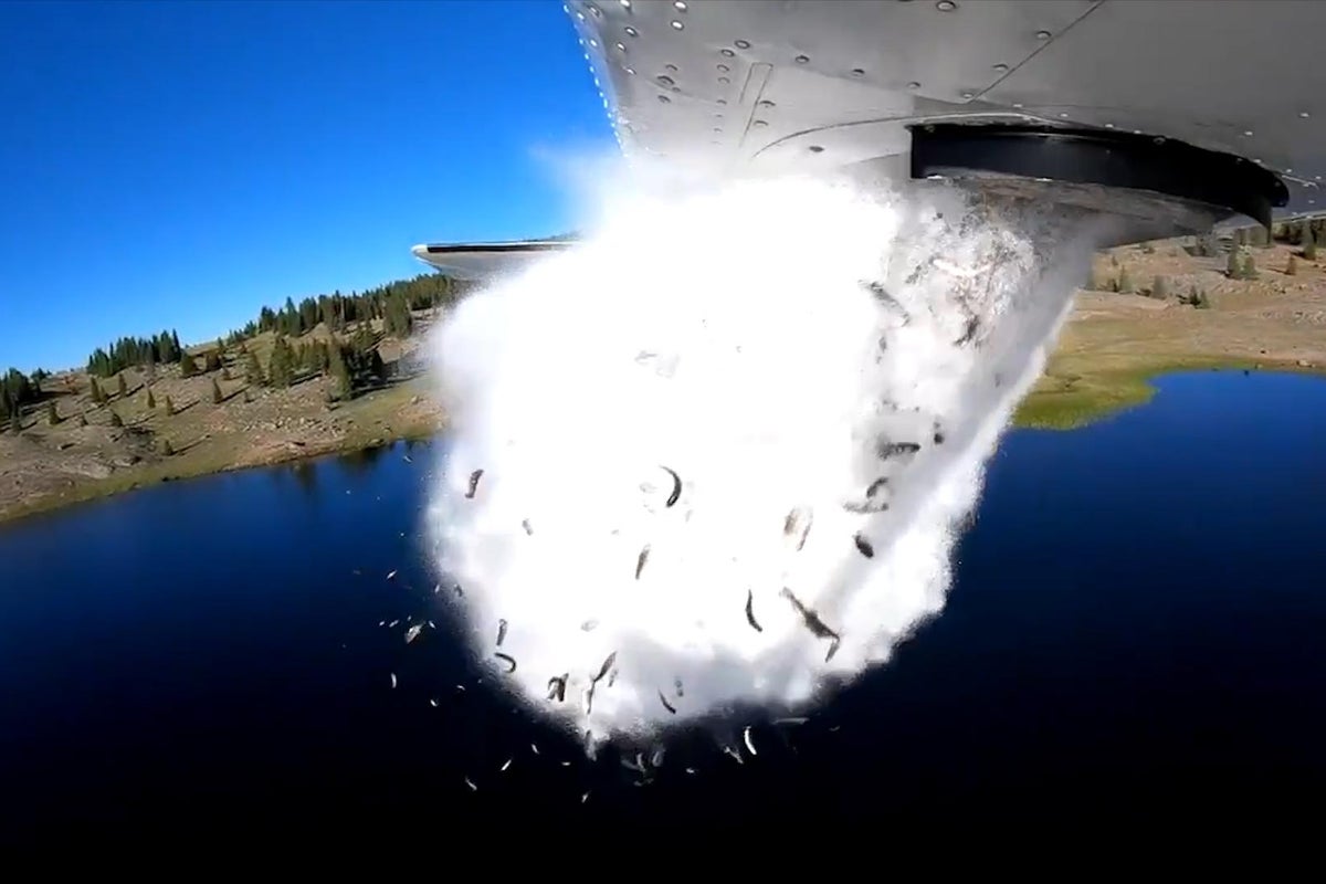 This is how lakes in the US are stocked with fish from the air | The ...