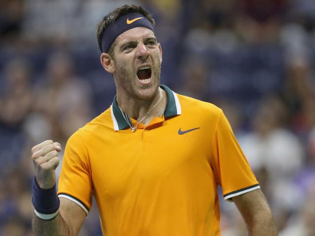 Juan Martin del Potro is through to the final of the US Open