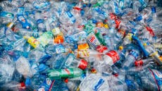 Plastic waste could fuel cars of the future