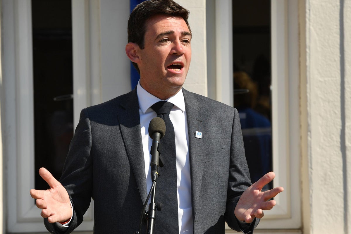 Andy Burnham says Brexit should be postponed to avoid no-deal scenario