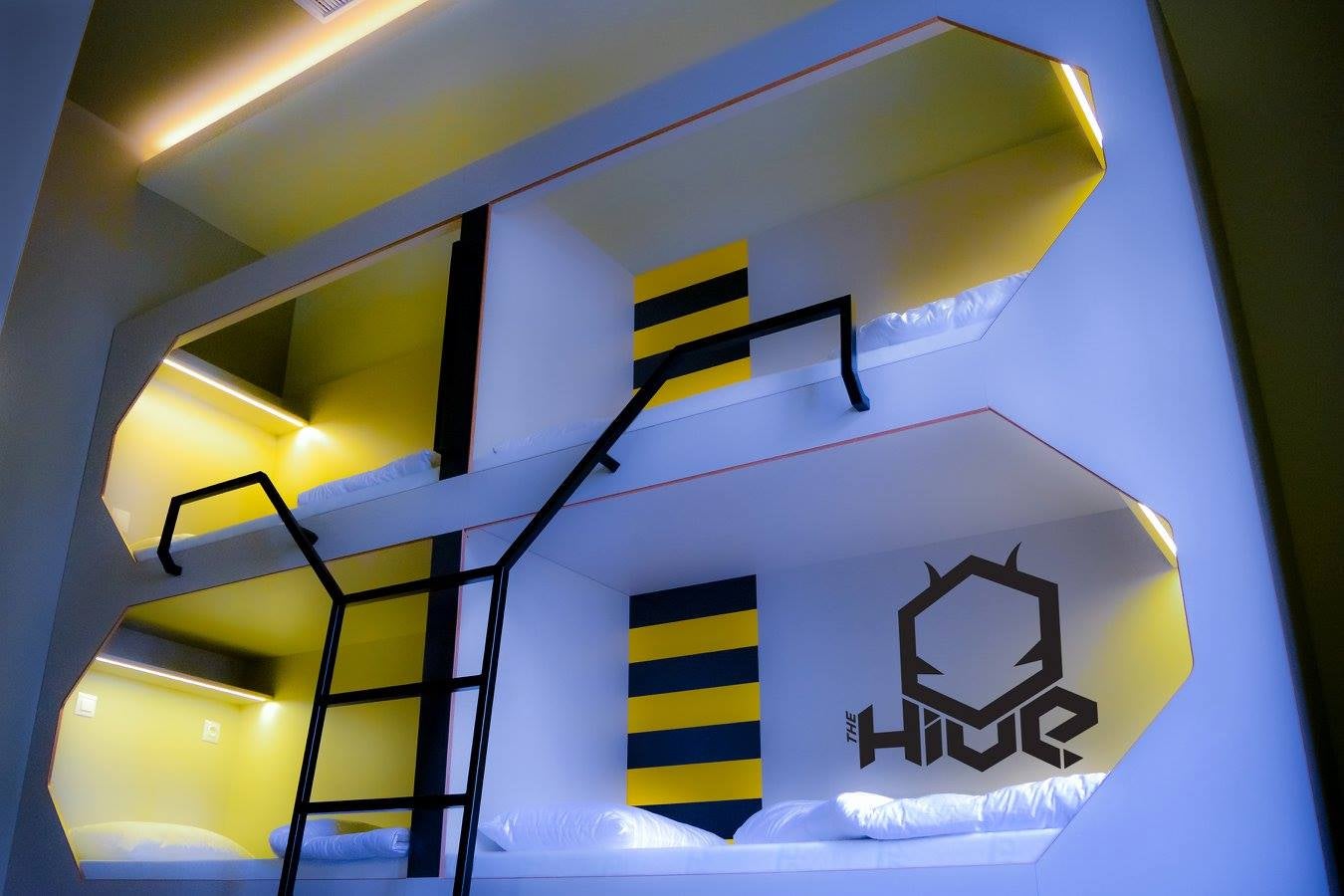 The Hive is the ideal residence for those on budget looking to party