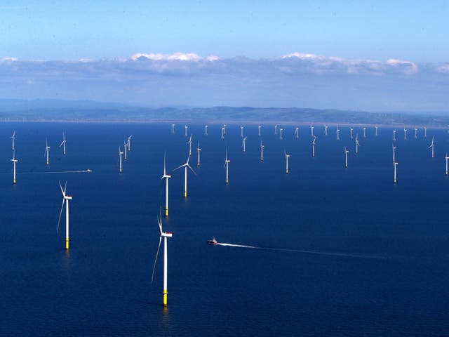 <p>A wind farm off the Cumbrian coast: more power is coming from renewables</p>
