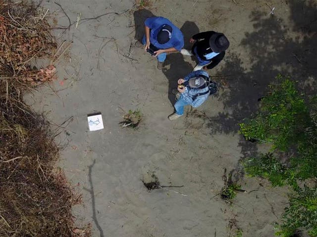 Workers examine the site of mass graves uncovered in the Mexican state of Veracruz