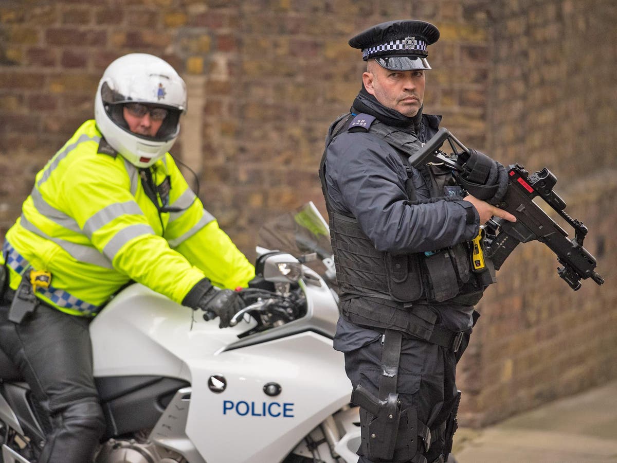 Armed police may be deployed to patrol areas of London where 'gang ...