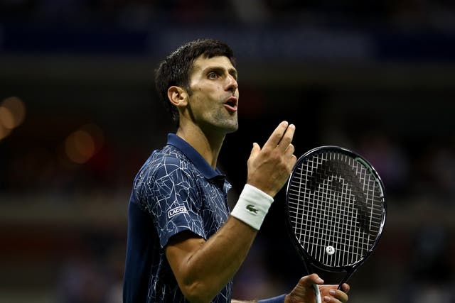 Novak Djokovic reacts during his men's Singles finals match against Juan Martin del Potro