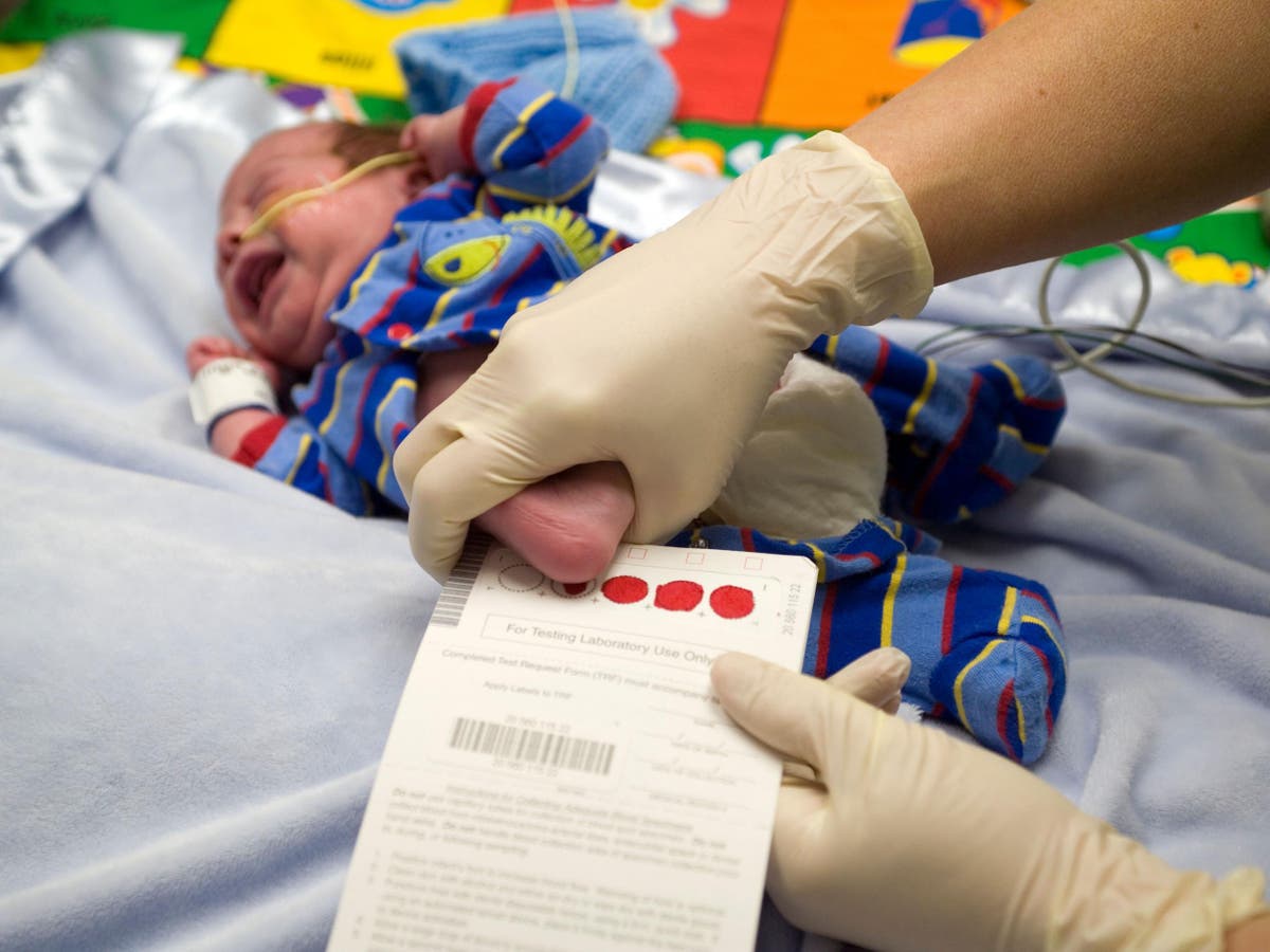 Неонатальный скрининг новорожденных. Проведение неонатального скрининга новорожденных. Фенилкетонурия неонатальный скрининг. Скрининг новорожденных на наследственные заболевания.