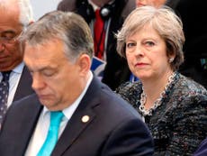 Tories back far-right government of Viktor Orban in crunch EU vote